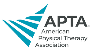 American Physical Therapy Association